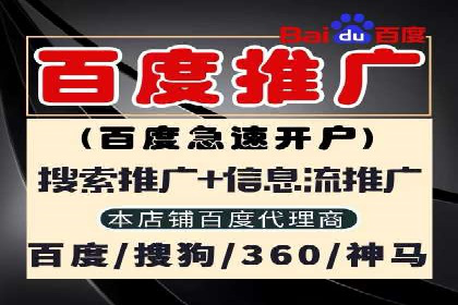 百度竞价广告的投放策略与成功案例分析