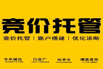 SEM托管实战分享：成功案例助力企业营销突破